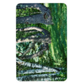 Hillside Trees Magnet (Vertikal)