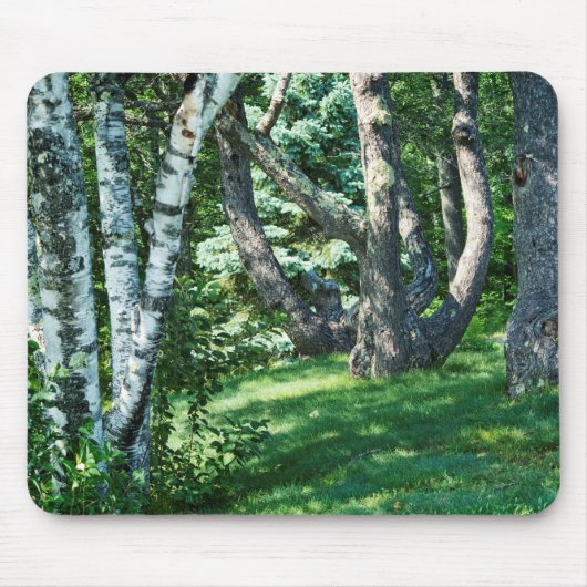 Hillside Trees Mousepad (Vorne)