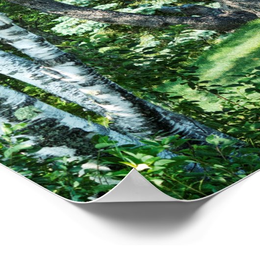 Hillside Trees Poster (Ecke)