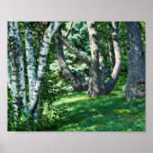 Hillside Trees Poster (Vorne)