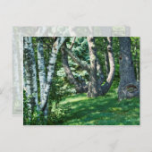 Hillside Trees Postkarte (Vorne/Hinten)