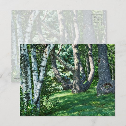 Hillside Trees Postkarte (Vorne/Hinten)