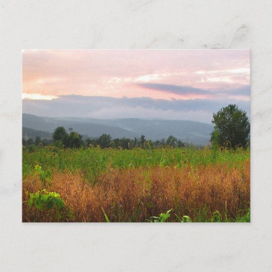 Hilltop bei Sunset Postkarte (Vorderseite)