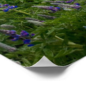 Hilltop Church Poster (Ecke)