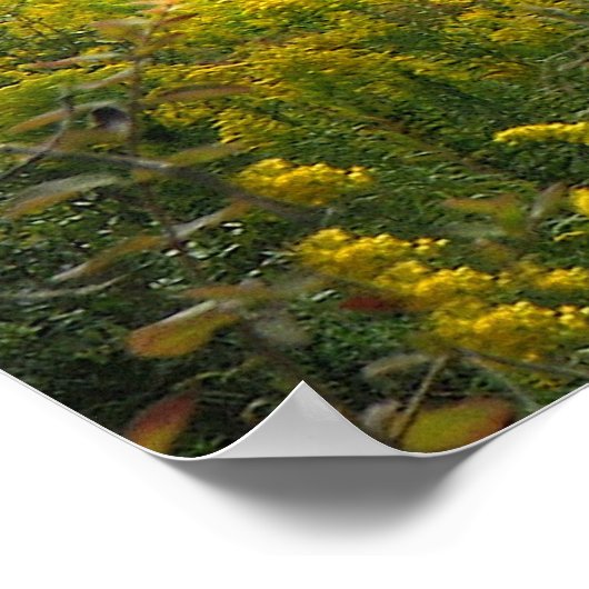 Hilltop House Poster (Ecke)