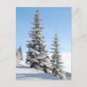 Hilltop Postkarte (Vorderseite)