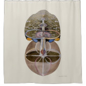 Hilma af Klint - Baum des Wissens, Nr. 1 Duschvorhang (Vorderseite)
