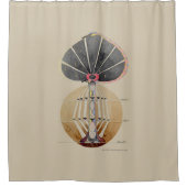 Hilma af Klint - Baum des Wissens, Nr. 3 Duschvorhang (Vorderseite)