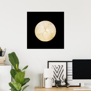 Hilma Af Klint, The Swan No.14, Abstrakt Art Poster