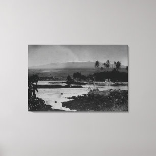 Hilo, Hawaii - Blick auf das Stadtbild Leinwanddruck