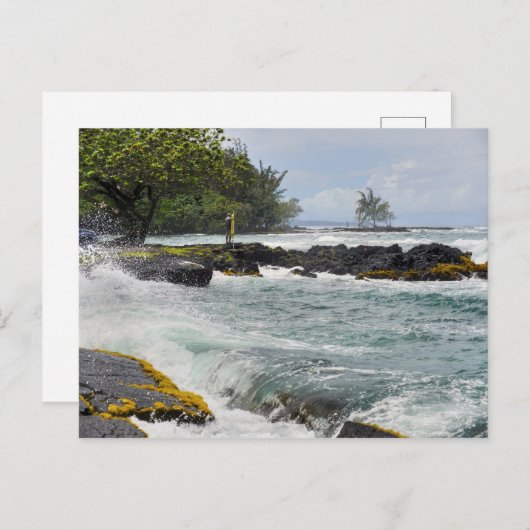 Hilo Waves Postkarte (Vorne/Hinten)