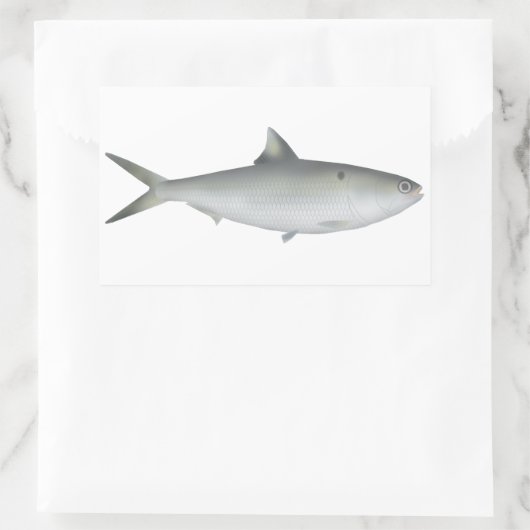 Hilsa Shad Rechteckiger Aufkleber (Tasche)