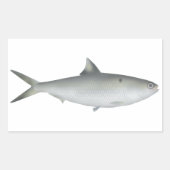 Hilsa Shad Rechteckiger Aufkleber (Vorderseite)