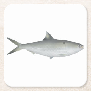 Hilsa Shad Rechteckiger Pappuntersetzer