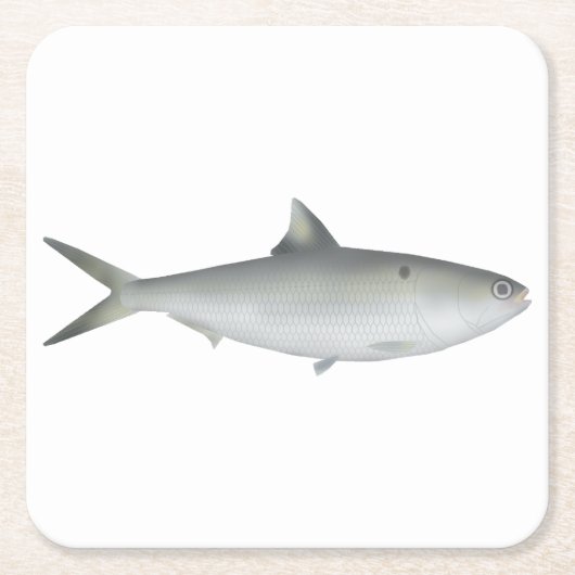 Hilsa Shad Rechteckiger Pappuntersetzer (Vorderseite)