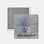 Hilton Head Alligator Magnet (Vorderseite/Rückseite)