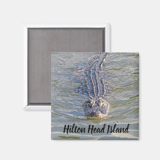 Hilton Head Alligator Magnet (Vorderseite/Rückseite)