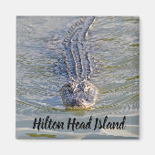 Hilton Head Alligator Magnet (Vorne)