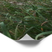 Hilton Head Island Beach Gewitter Poster (Ecke)