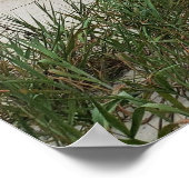 Hilton Head Island Beach Thunderstorm Boardwalk Poster (Ecke)