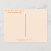 Hilton Head Island Hafen Stadt Marina Hallo Fall Postkarte (Rückseite)