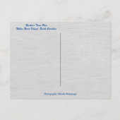 Hilton Head Island Harbour Town Pier Sea Pines Postkarte (Rückseite)