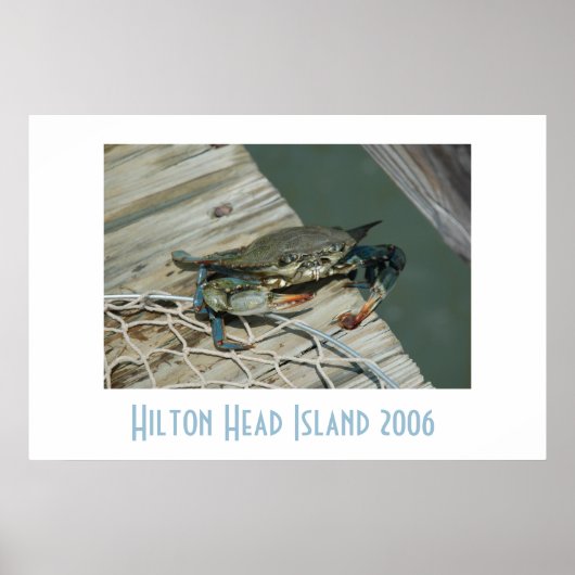 Hilton Head Island Poster (Vorne)