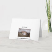 Hilton Head Reihe Karte (Rückseite)