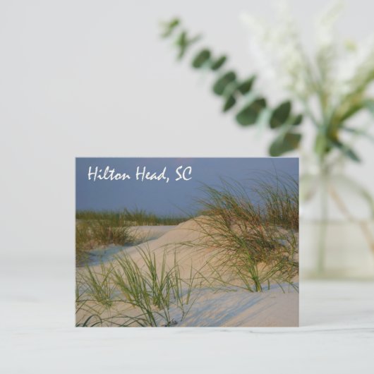 Hilton Head, SC Postkarte (Stehend Vorderseite)