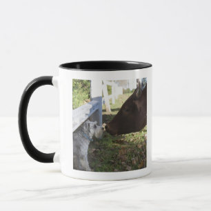 Hilton, Provinz Midlands, Kwazulu Natal, Süd Tasse