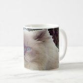 Himalaja-Perserkatze Kaffeetasse (VorderseiteRechts)