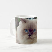 Himalaja-Perserkatze Kaffeetasse (Vorderseite Links)