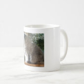 Himalaja-Perserkatze Kaffeetasse (VorderseiteRechts)