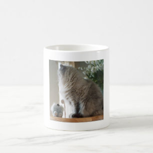 Himalaja-Perserkatze Kaffeetasse