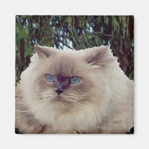 Himalaja-Perserkatze Magnet