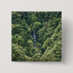 Himalaja-Wald im Mangdue-Tal, Bhutan Button