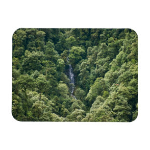 Himalaja-Wald im Mangdue-Tal, Bhutan Magnet