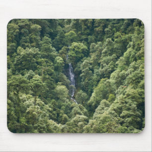 Himalaja-Wald im Mangdue-Tal, Bhutan Mousepad
