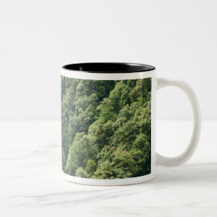 Himalaja-Wald im Mangdue-Tal, Bhutan Zweifarbige Tasse
