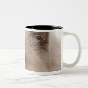 Himalaja Zweifarbige Tasse