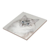 Himalajakatze des blauen Punktes Fliese (Seite)