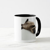 Himalajakatze, die zurück auf seiner liegt tasse (VorderseiteRechts)