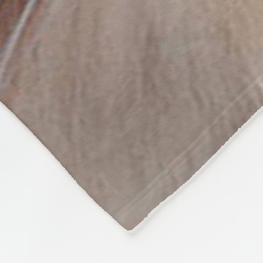 Himalajakatze Fleecedecke (Ecke)