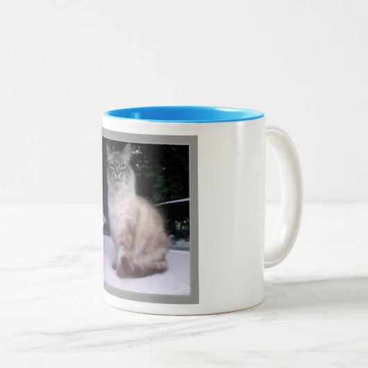 Himalajatabby-siamesischer Maine-Waschbär Zweifarbige Tasse (VorderseiteRechts)