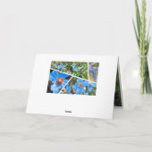 Himalaya blauer Mohn [Grußkarte] ド Karte (Rückseite)