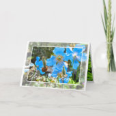 Himalaya blauer Mohn [Grußkarte] ド Karte (Vorderseite)