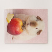 Himalaya Guinea Pig Pet Puzzle (Horizontal)