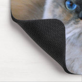 Himalaya-Katze mit blauen Augen Mousepad (Ecke)