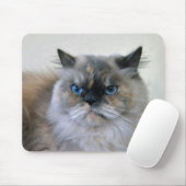 Himalaya-Katze mit blauen Augen Mousepad (Mit Mouse)