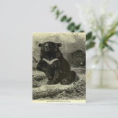 Himalaya-Schwarzbär Postkarte (Stehend Vorderseite)